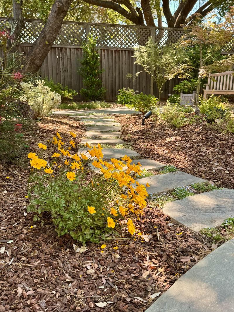 Garden Retreat in Los Altos gallery image Garden Retreat in Los Altos gallery image