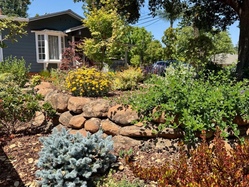 Garden Retreat in Los Altos gallery image Garden Retreat in Los Altos gallery image